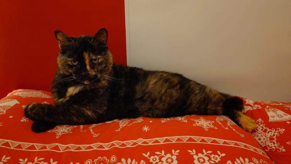 Hey, it's been a while