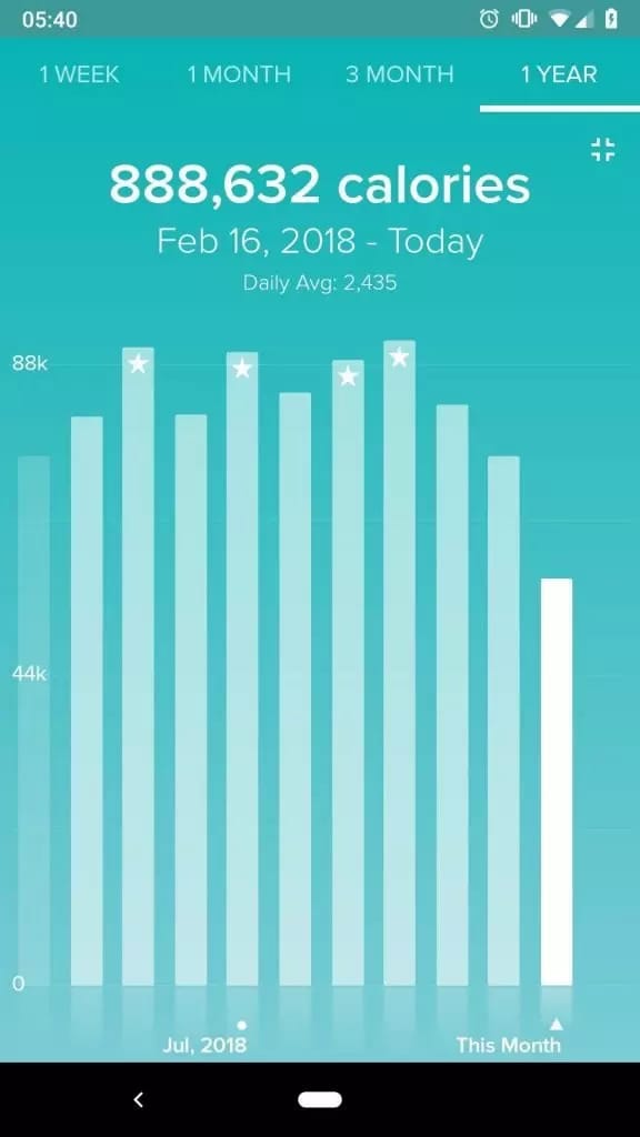 A year of Fitbit statistics...